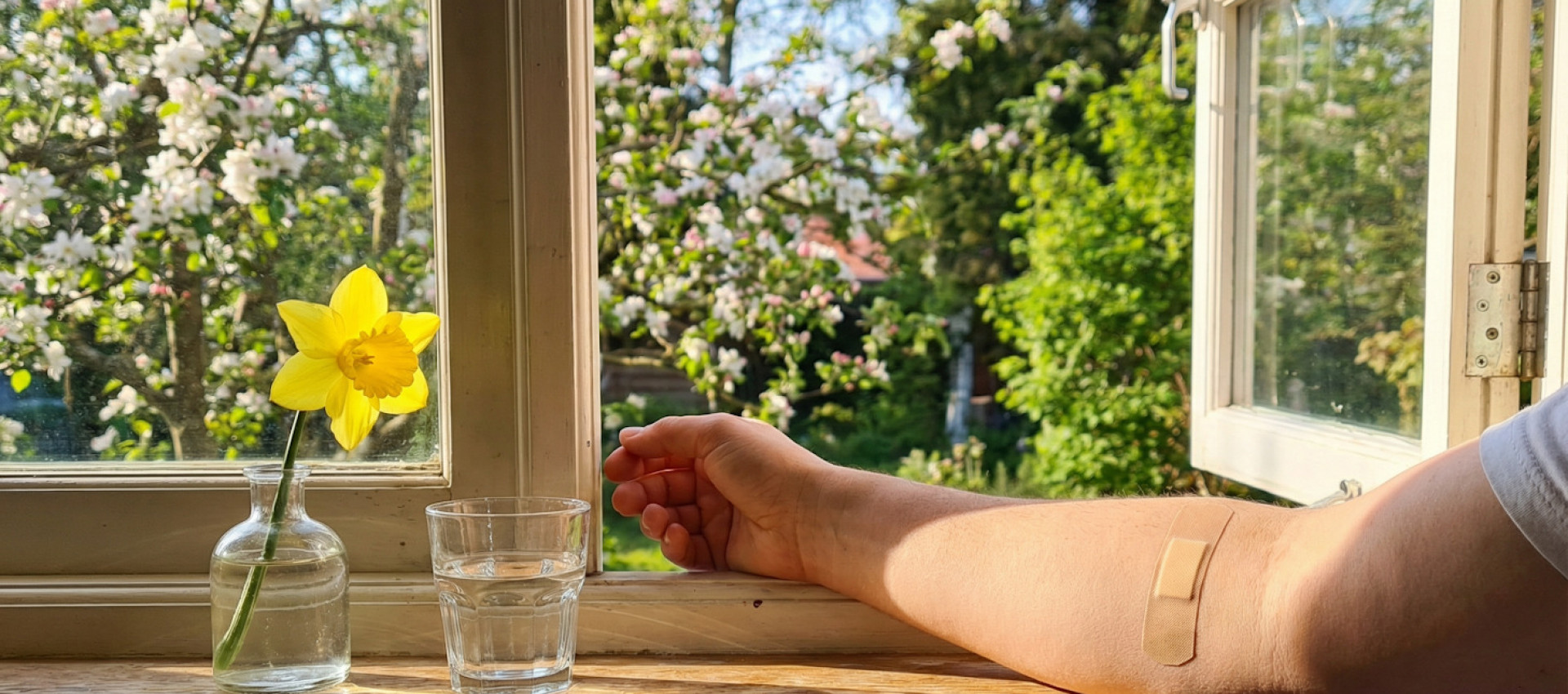 Fr&uuml;hling und Wundheilung: Warum steigende Temperaturen Chancen und Risiken bringen